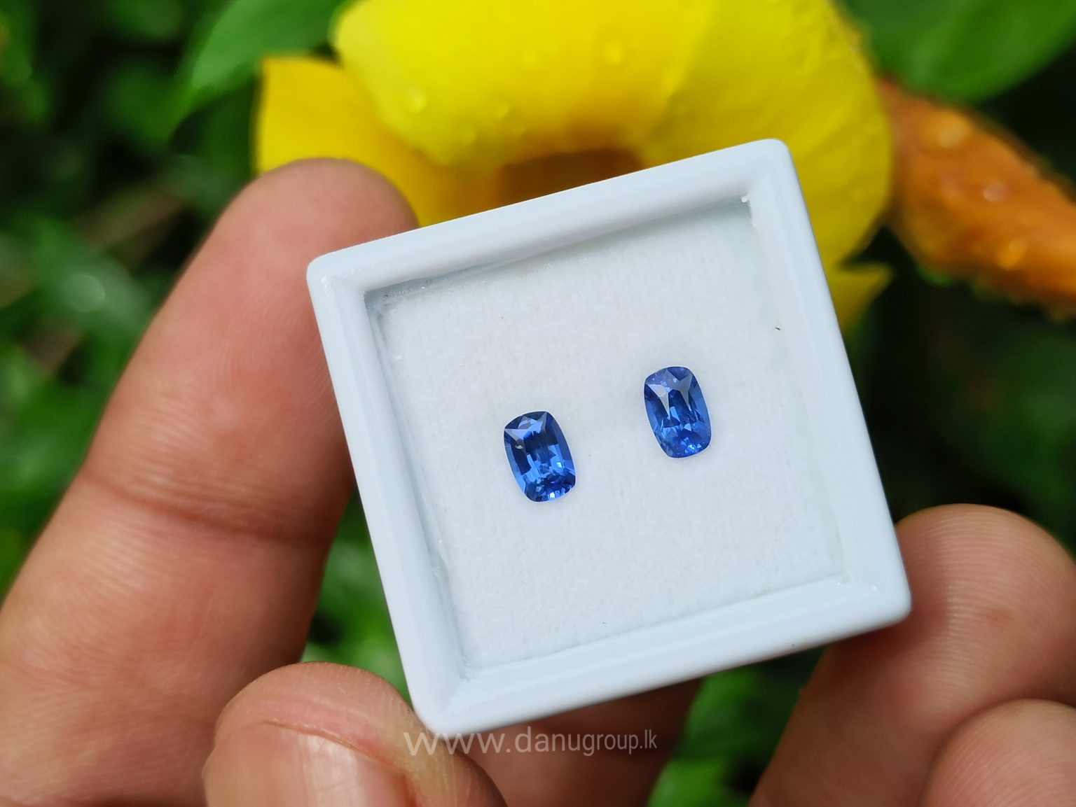 Ceylon Natural Cornflower Blue Sapphire Pair Danu Group Gemstones pair