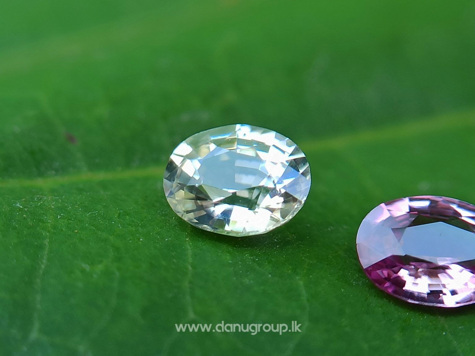 Ceylon Natural Fancy Sapphire Couple - Danu Group Gemstones Collection