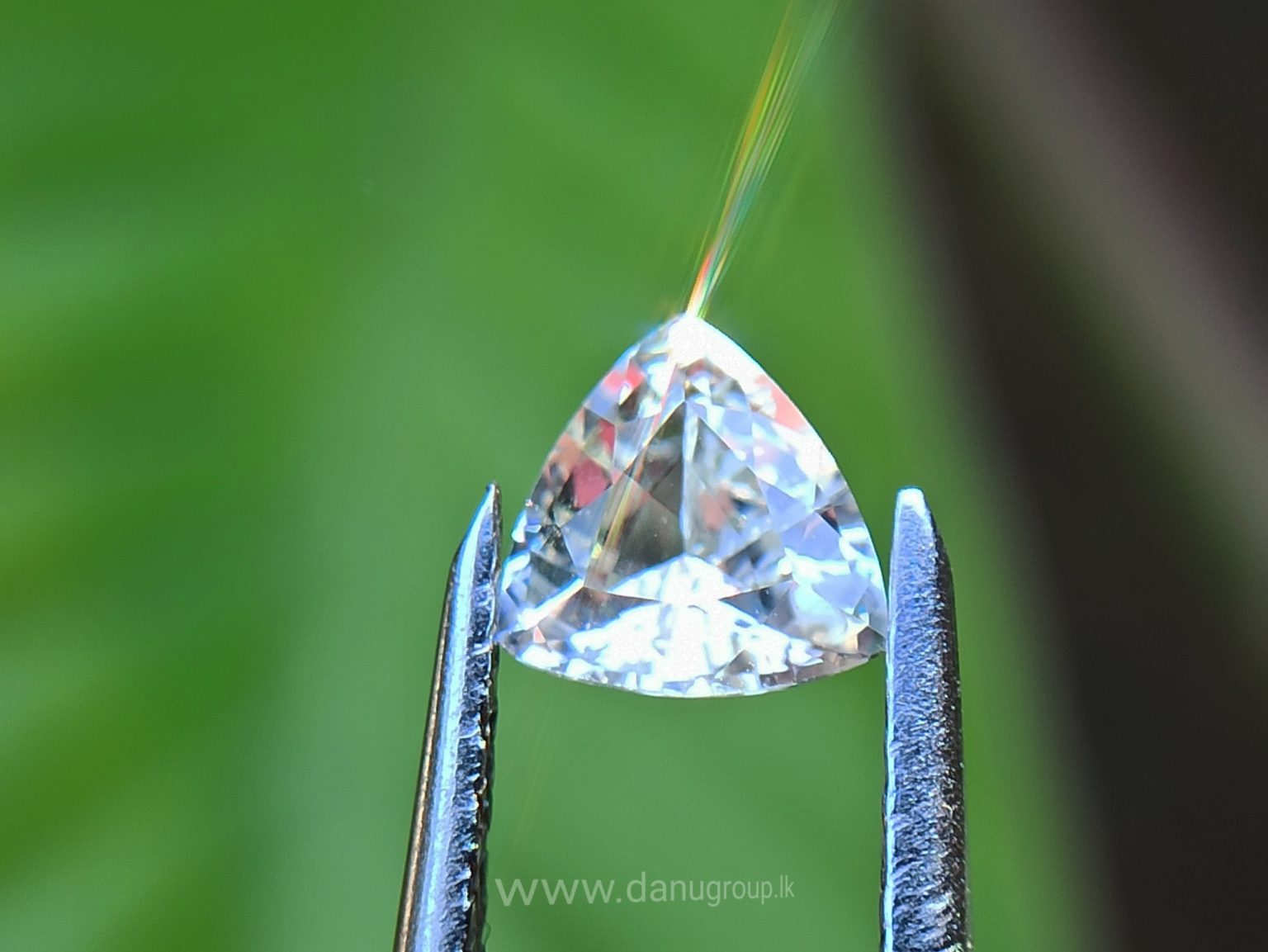 Ceylon Natural Fancy Sapphire Triangular Shape Couple Light Yellow and white sapphire from Danu Group Gemstones Collection