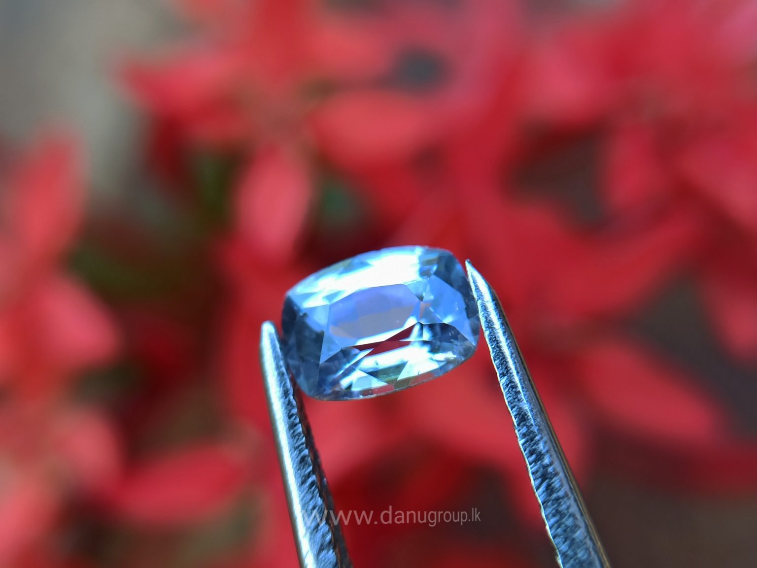 Ceylon Natural Light Blue Sapphire Pair for earrings - Danu Group Gemstones Collections