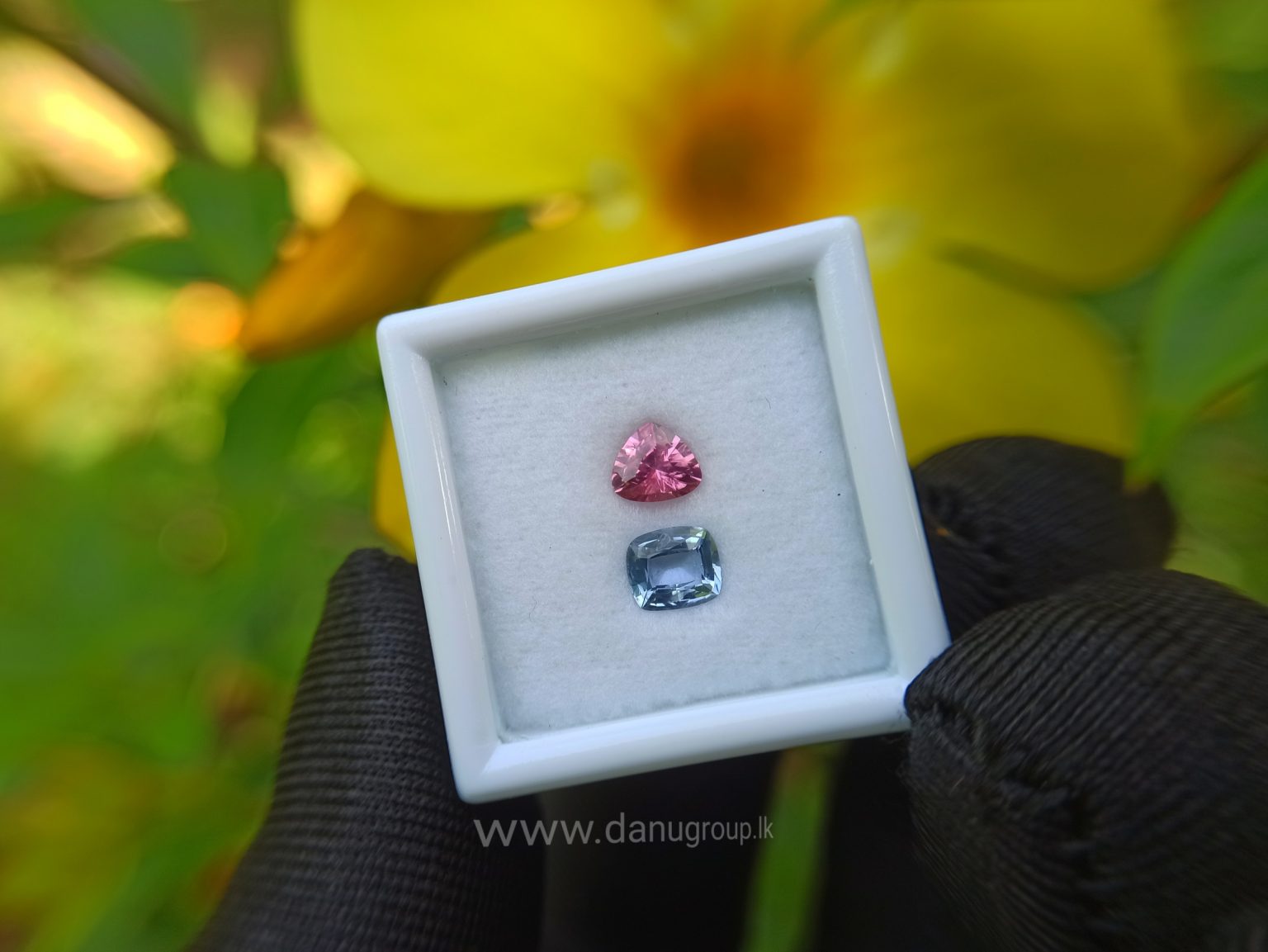 danugroup.lk - Ceylon Natural Blue and pink sapphire couple Danu Group Gemstones