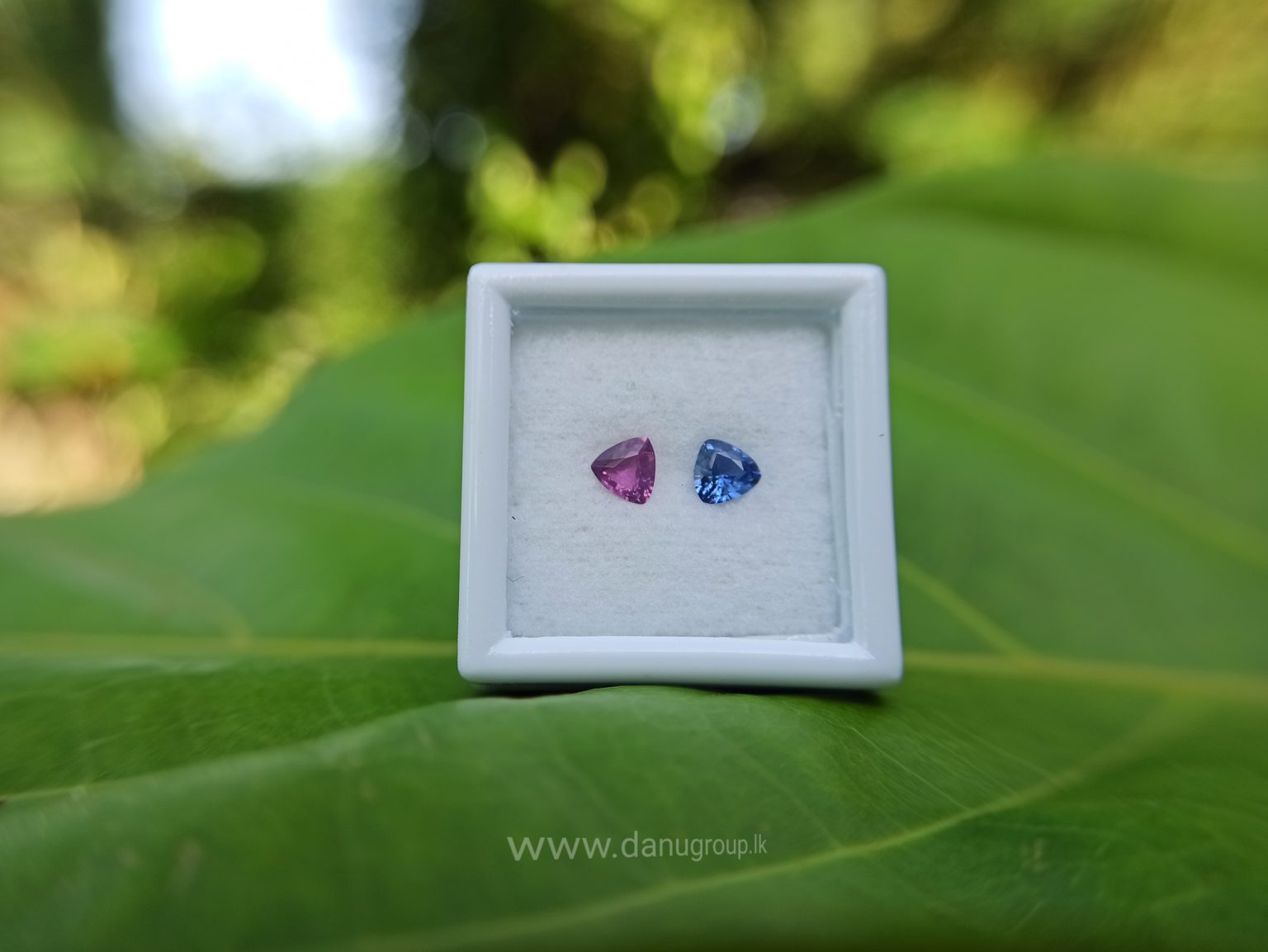 Ceylon Natural Blue & Pink Sapphire Couple - Danu Group Gemstones danugroup.lk Danu Group Gemstones