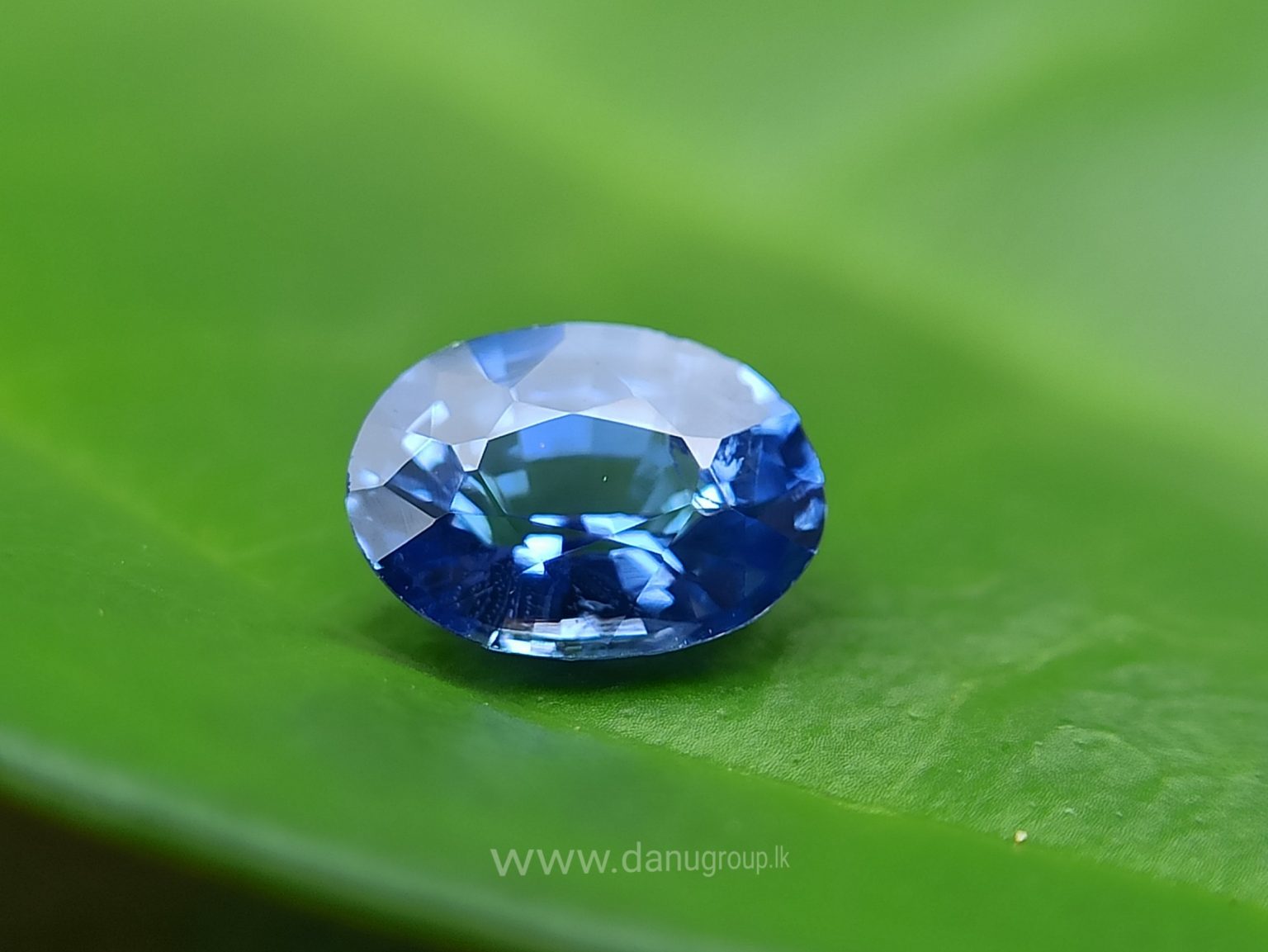 Ceylon Blue Sapphire Couple - Danu Group Gemstones