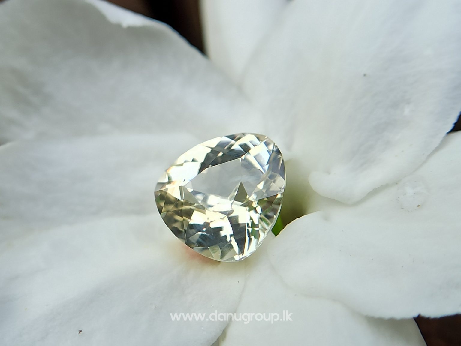 danugroup.lk - ceylon natural yellow sapphire and white Sapphire - Natural Fancy Sapphire Couple from Danu Group
