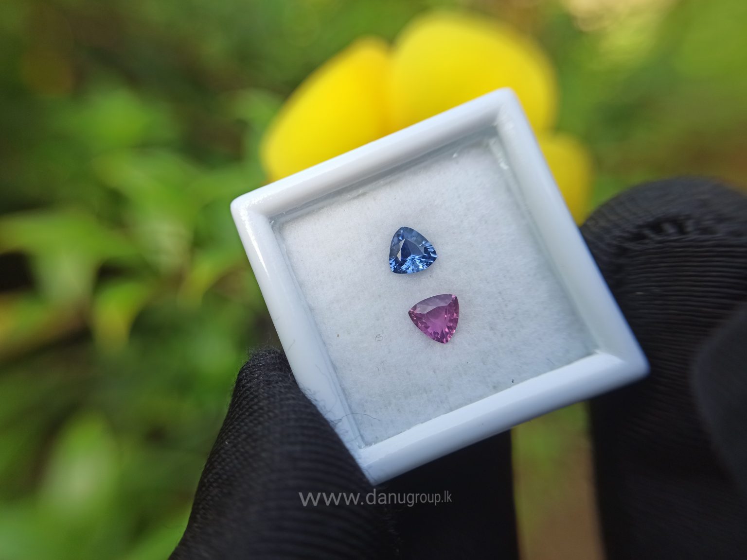 Ceylon Natural Blue & Pink Sapphire Couple - Danu Group Gemstones danugroup.lk Danu Group Gemstones