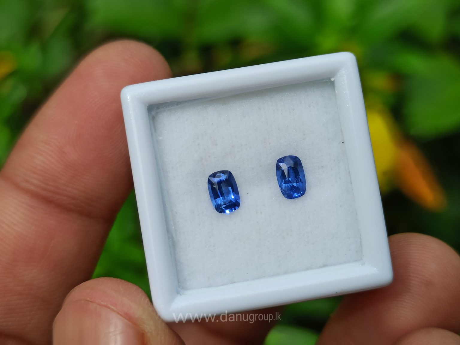 Ceylon Natural Cornflower Blue Sapphire Pair Danu Group Gemstones pair