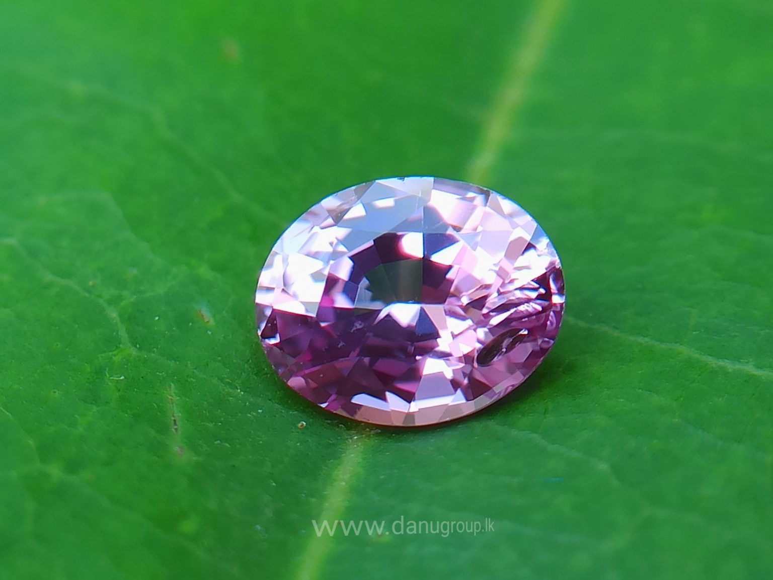 danugroup.lk - ceylon Natural pink sapphire Danu Group Gemstones Collections