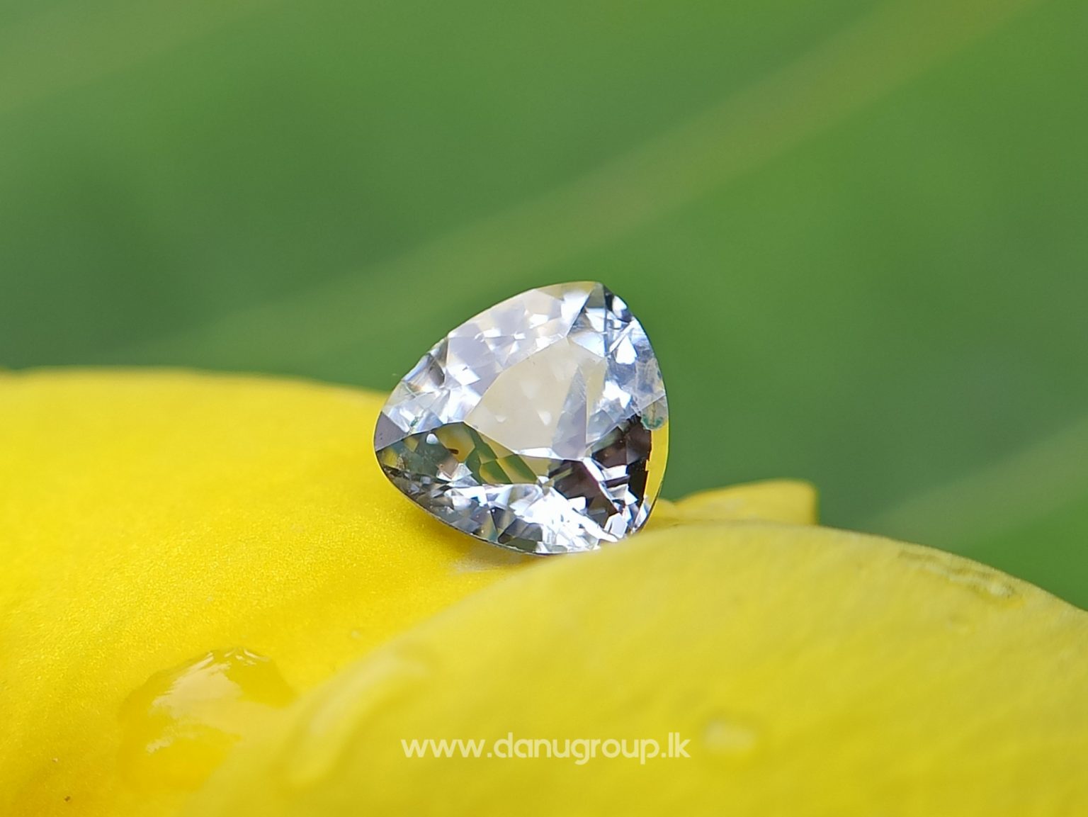 danugroup.lk - ceylon natural yellow sapphire and white Sapphire - Natural Fancy Sapphire Couple from Danu Group