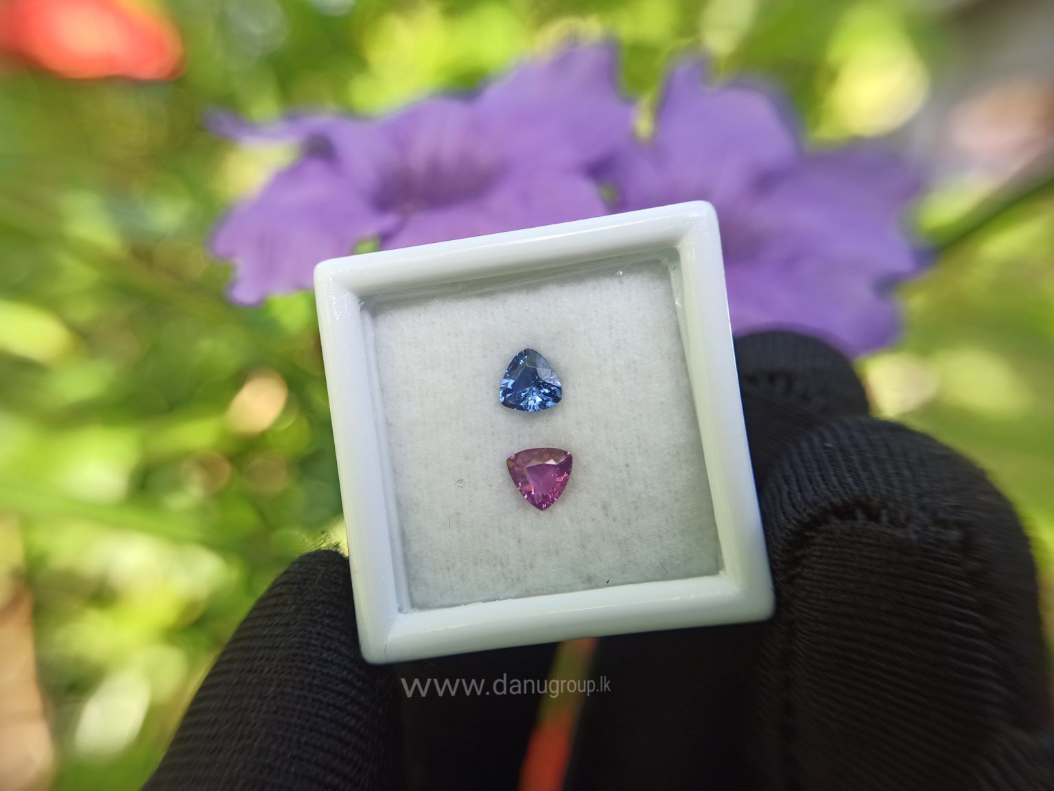 Ceylon Natural Blue & Pink Sapphire Couple - Danu Group Gemstones danugroup.lk Danu Group Gemstones