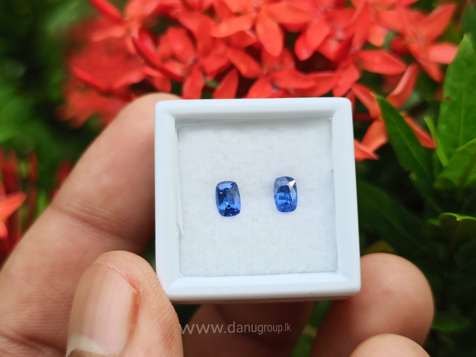 Ceylon Natural Cornflower Blue Sapphire Pair Danu Group Gemstones pair