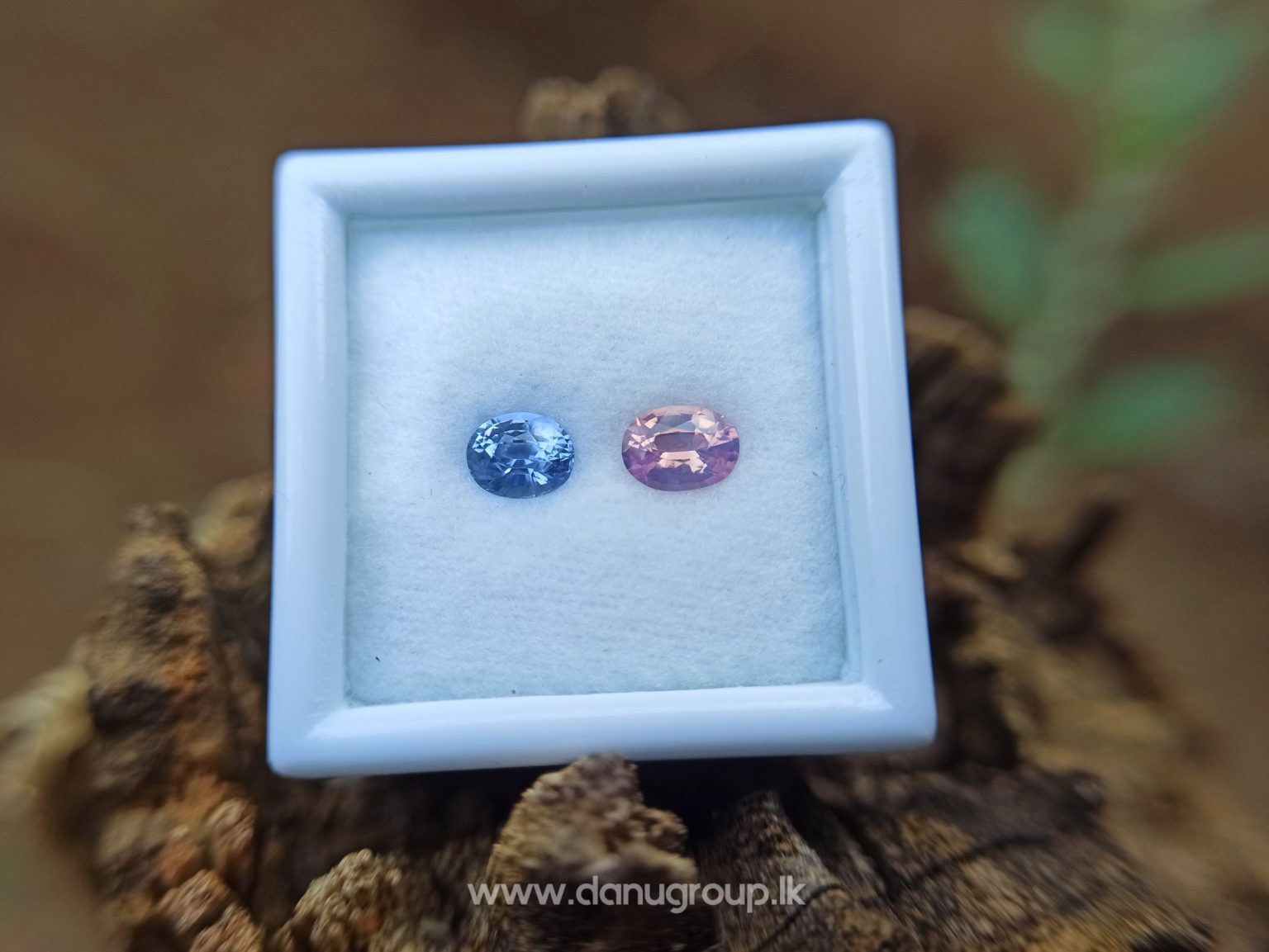 Ceylon Natural Fancy Sapphire Couple - Danu Group Gemstones Collection