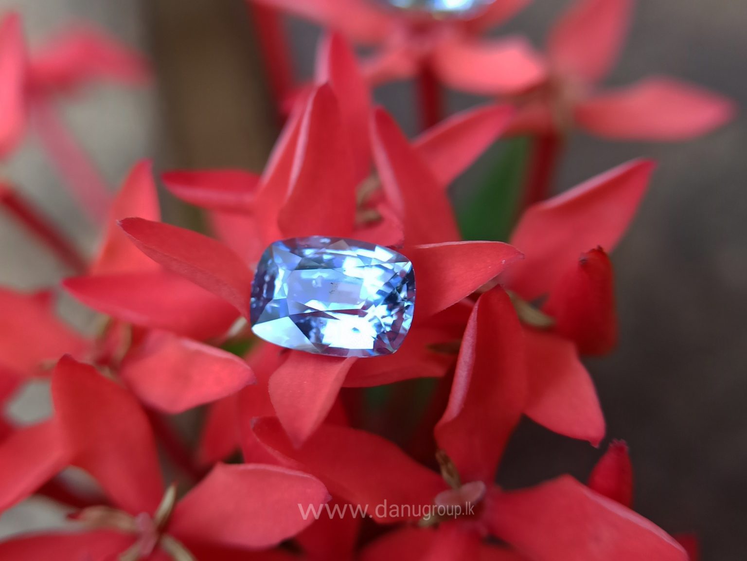 Ceylon Natural Light Blue Sapphire Pair for earrings - Danu Group Gemstones Collections