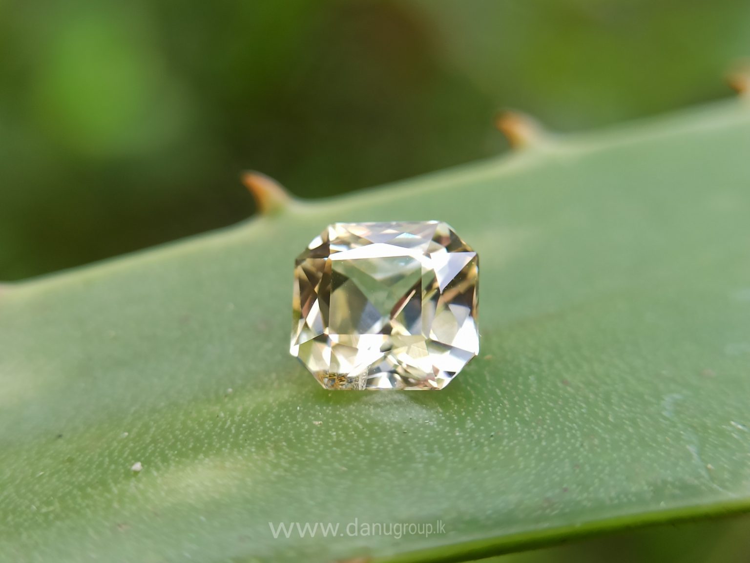 Natural Natural Yellow Sapphire With amazing luster - Danu Group Gemstones