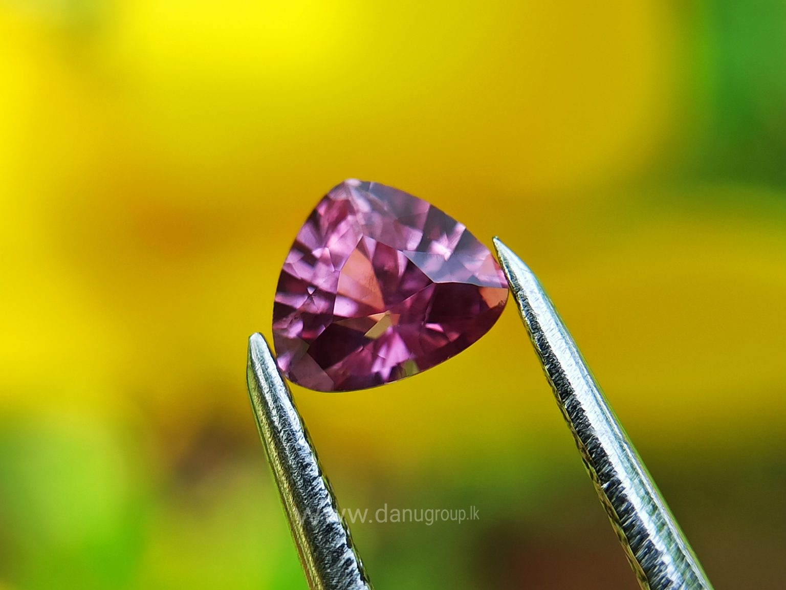 danugroup.lk - Ceylon Natural Blue and pink sapphire couple Danu Group Gemstones