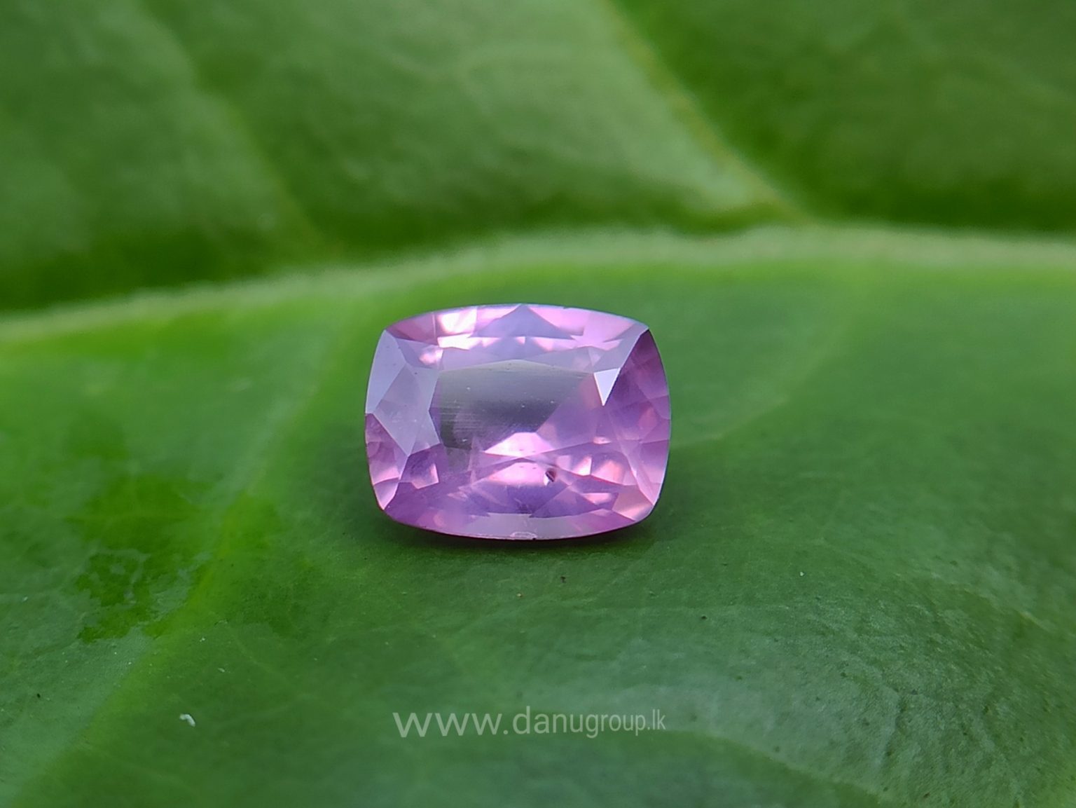 danugroup.lk - ceylon natural Violet Sapphire and pink sapphire Couple danu group Gemstones