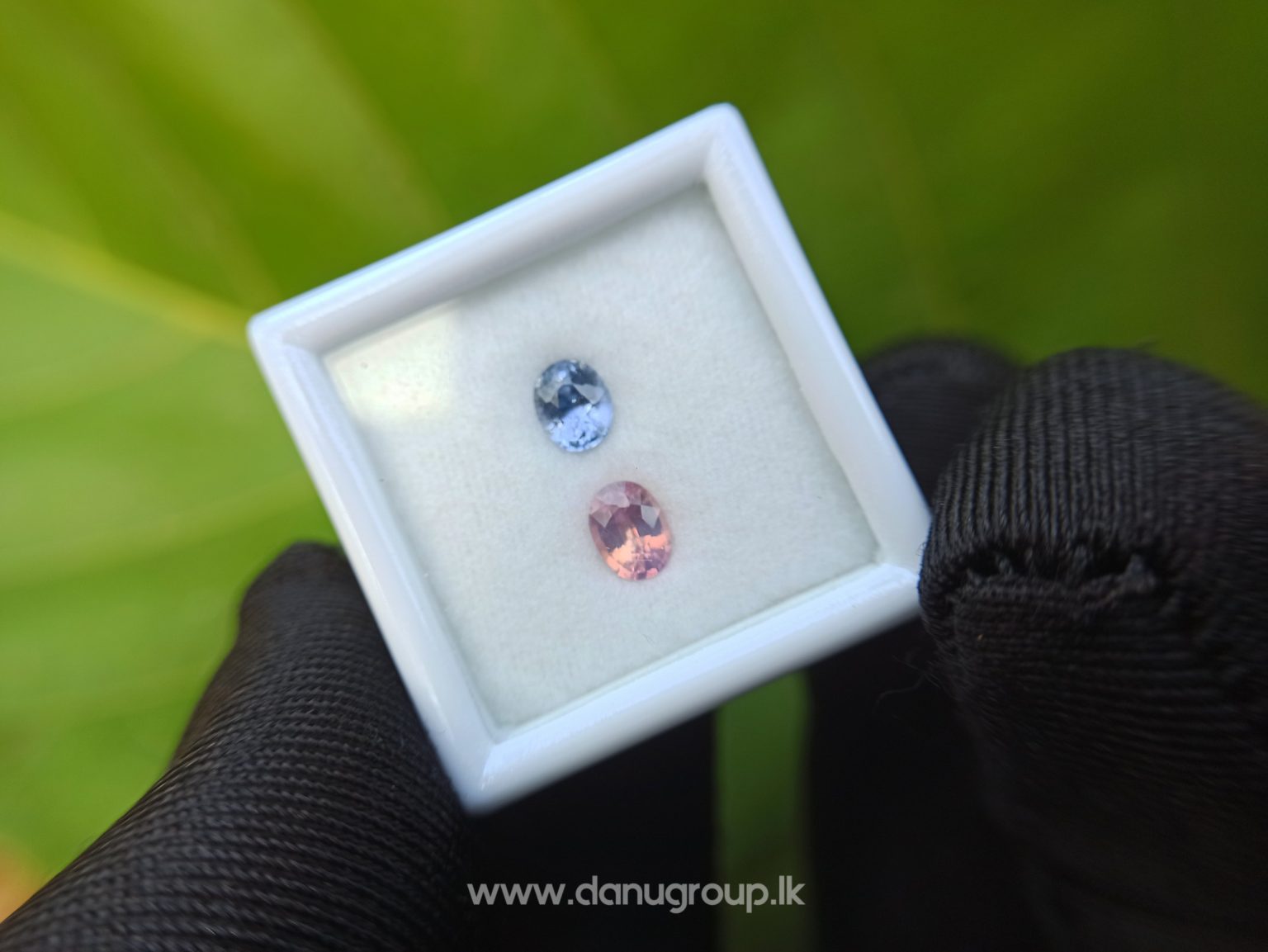 Ceylon Natural Fancy Sapphire Couple - Danu Group Gemstones Collection