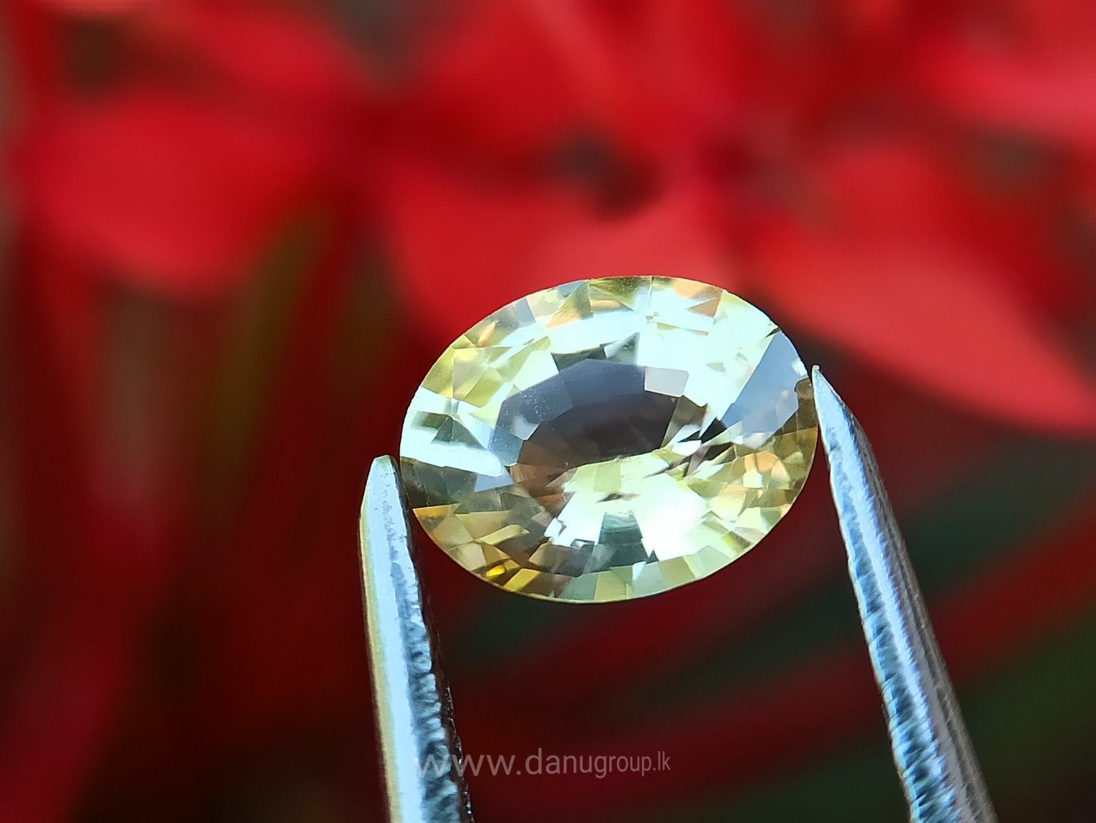 Ceylon Natural Yellow Sapphire Oval Shape - Danu Group Gemstones Collection
