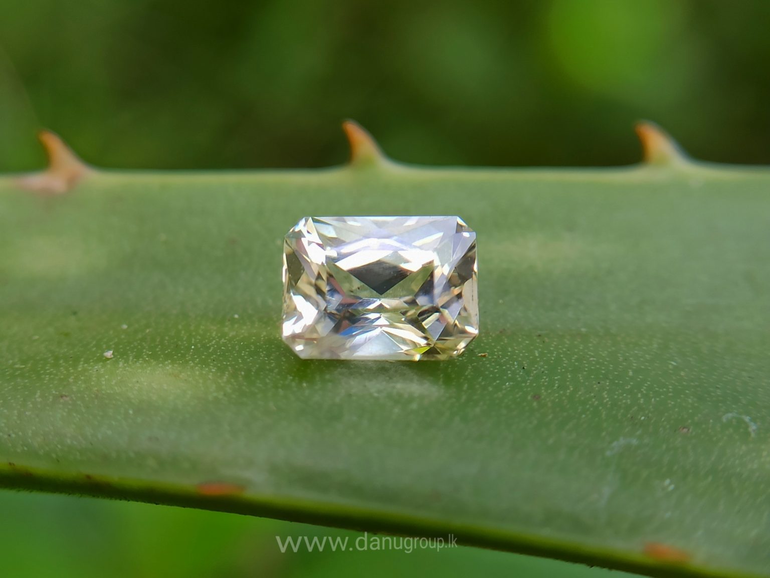Natural Natural Yellow Sapphire With amazing luster - Danu Group Gemstones