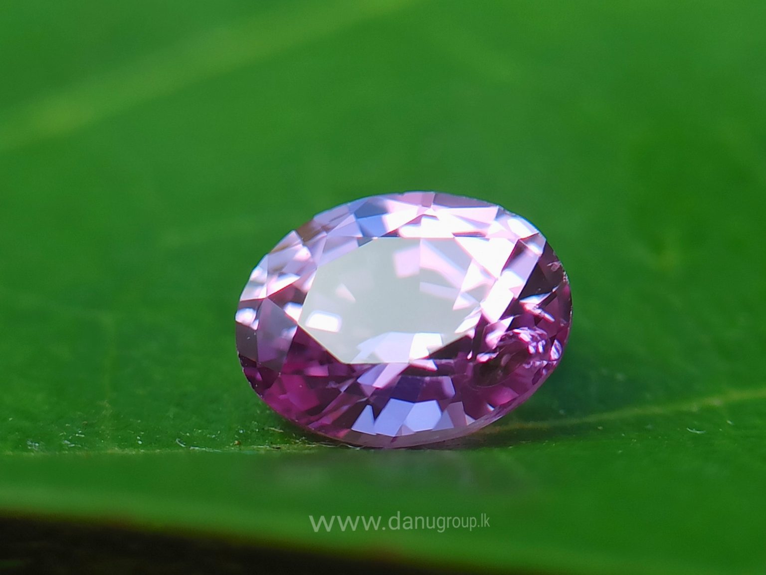 danugroup.lk - ceylon Natural pink sapphire Danu Group Gemstones Collections