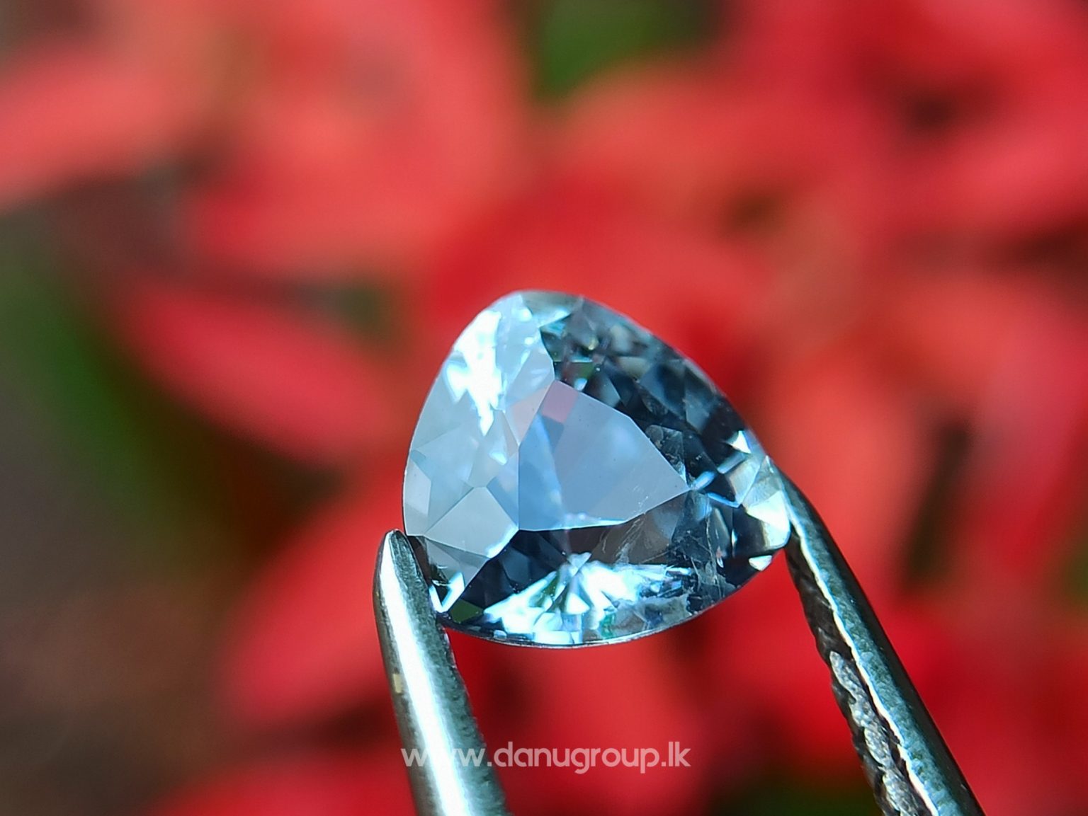 danugroup.lk - ceylon natural yellow sapphire and white Sapphire - Natural Fancy Sapphire Couple from Danu Group