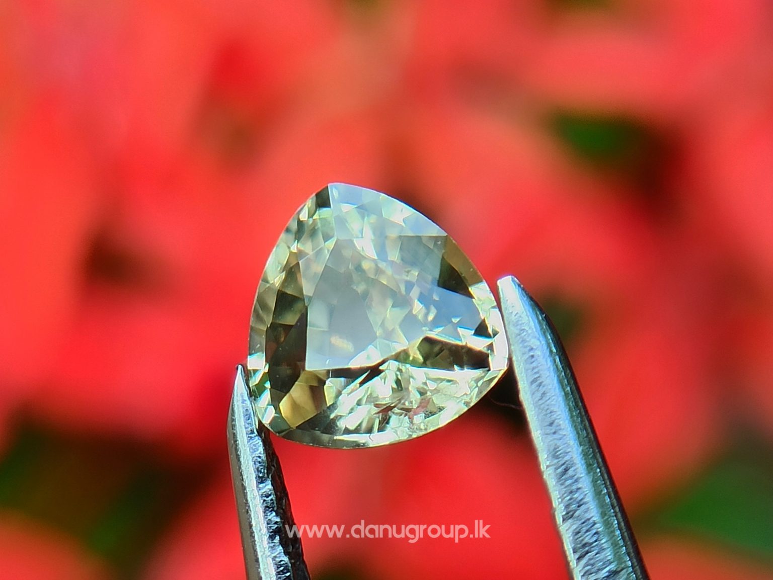 danugroup.lk - natural purple and yellow sapphire from Danu Group Fancy Sapphire couple