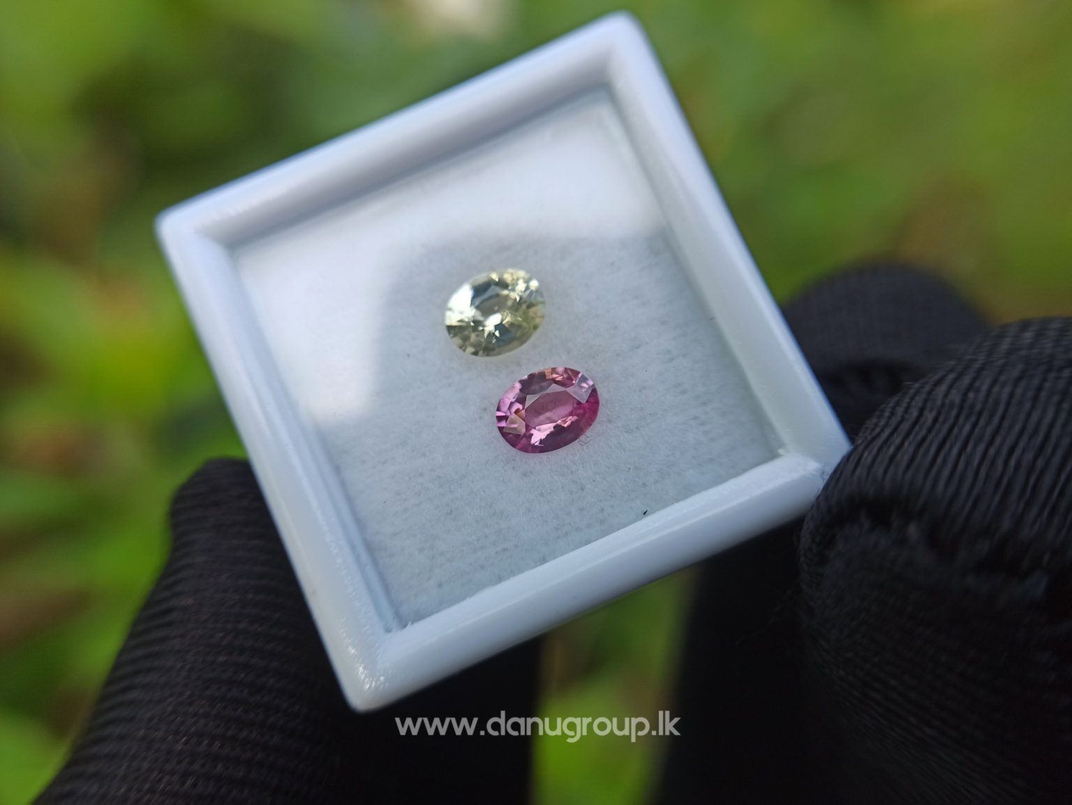 Ceylon Natural Fancy Sapphire Couple - Danu Group Gemstones Collection