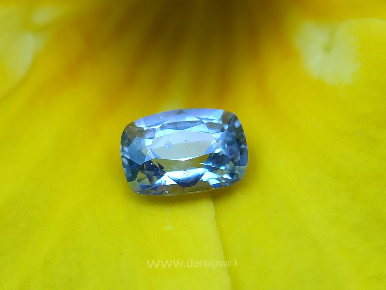 Ceylon Natural Light Blue Sapphire Pair for earrings - Danu Group Gemstones Collections