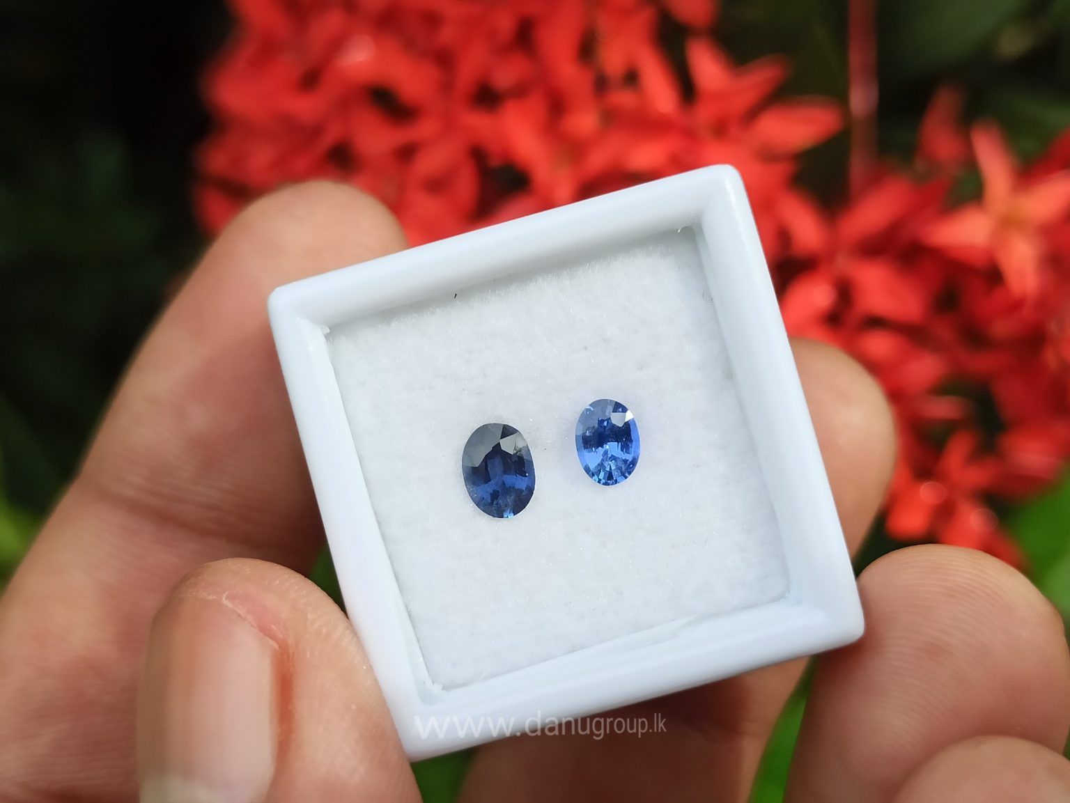 Ceylon Blue Sapphire Couple - Danu Group Gemstones