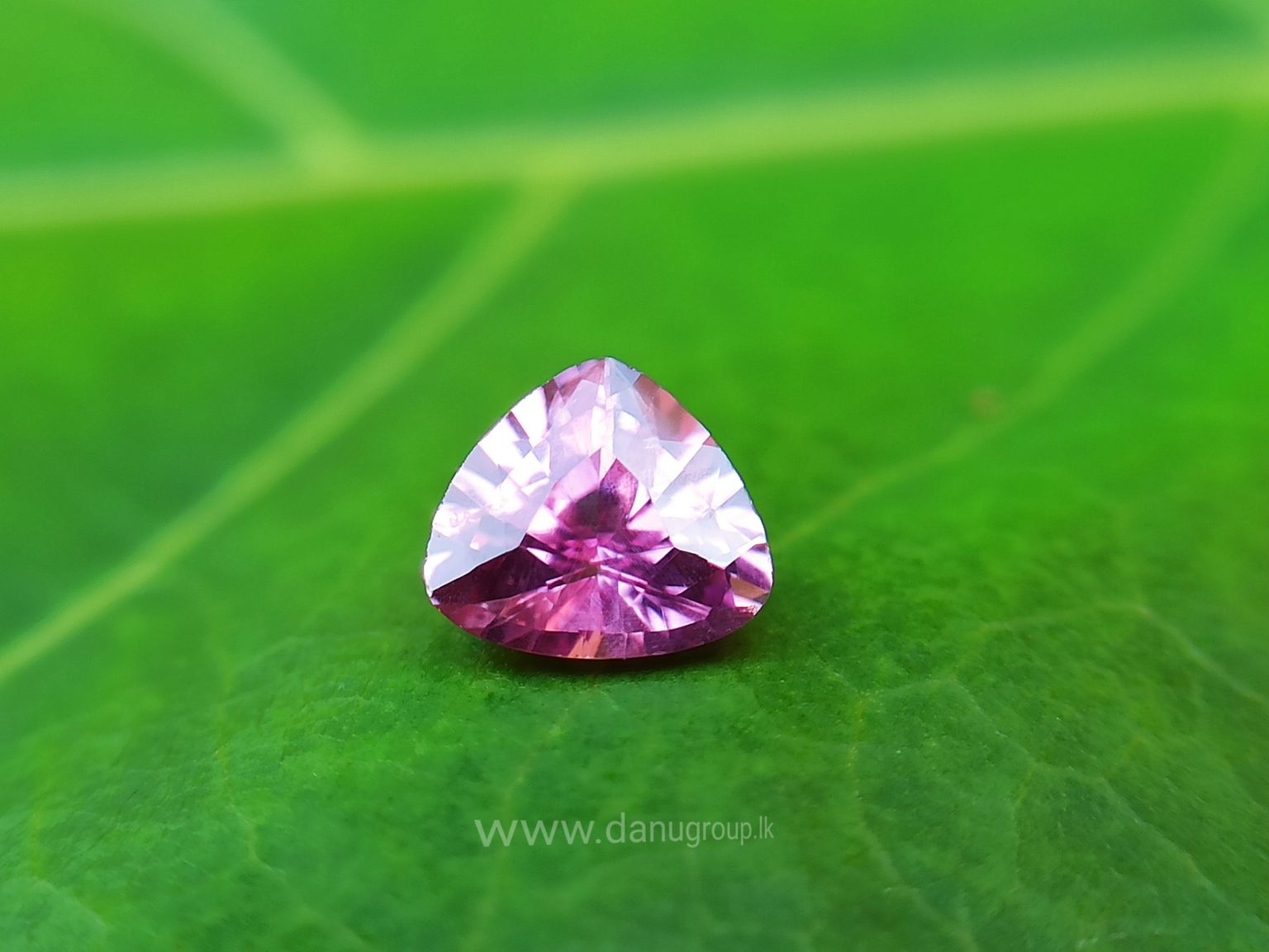 danugroup.lk - Ceylon Natural Blue and pink sapphire couple Danu Group Gemstones