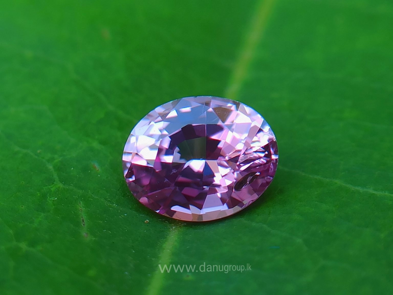 danugroup.lk - ceylon Natural pink sapphire Danu Group Gemstones Collections