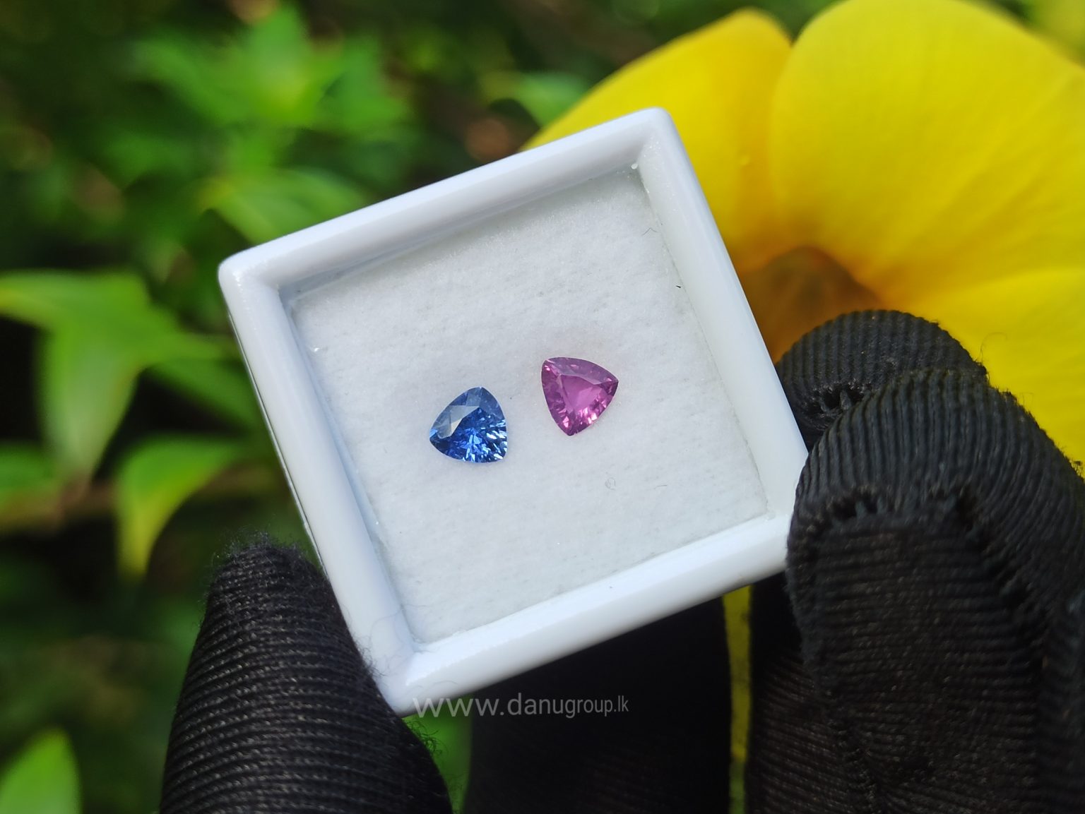 Ceylon Natural Blue & Pink Sapphire Couple - Danu Group Gemstones danugroup.lk Danu Group Gemstones
