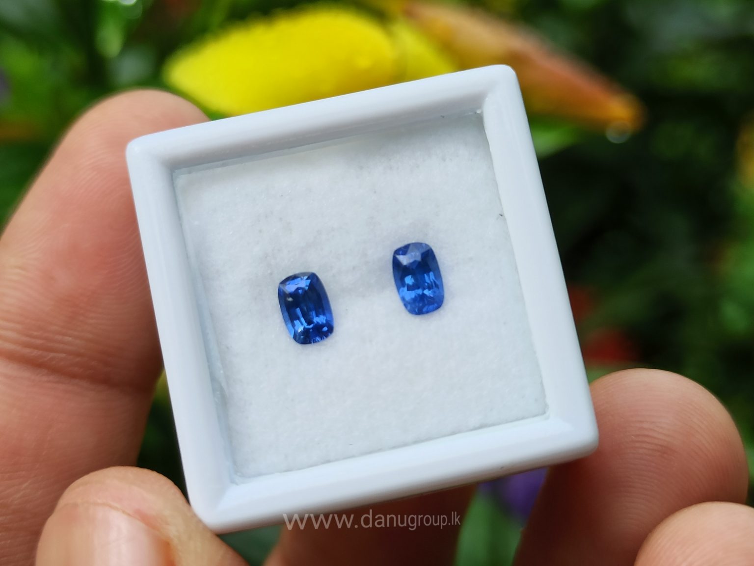 Ceylon Natural Cornflower Blue Sapphire Pair Danu Group Gemstones pair