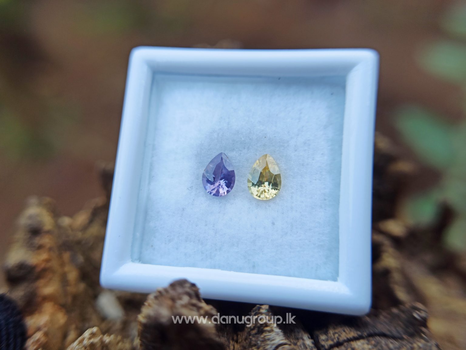Ceylon Natural Fancy Sapphire Couple - Danu Group Gemstones Collection