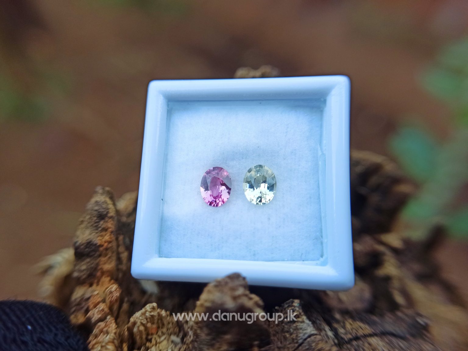 Ceylon Natural Fancy Sapphire Couple - Danu Group Gemstones Collection