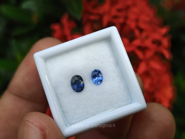 Ceylon Blue Sapphire Couple - Danu Group Gemstones