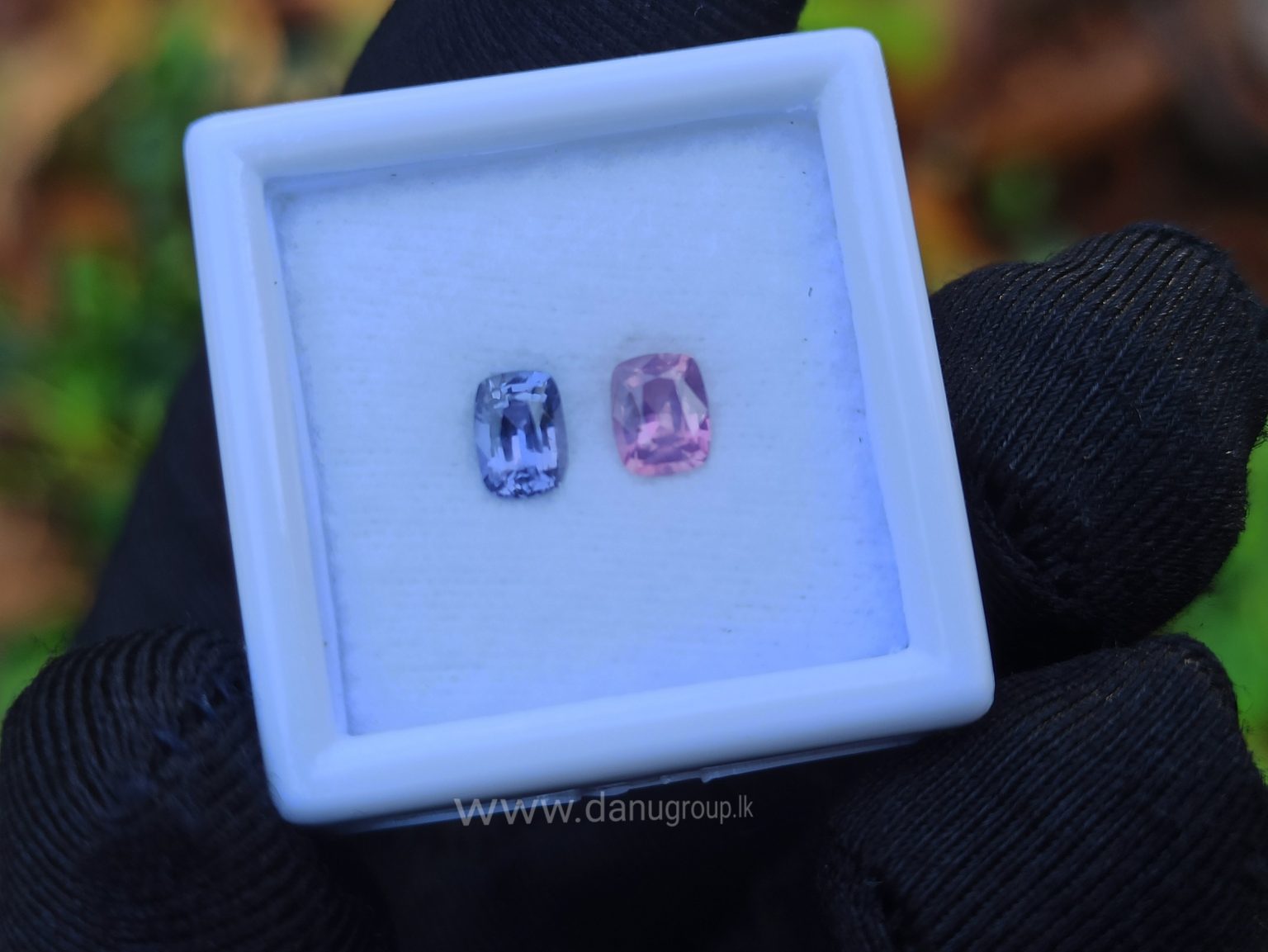 danugroup.lk - ceylon natural Violet Sapphire and pink sapphire Couple danu group Gemstones