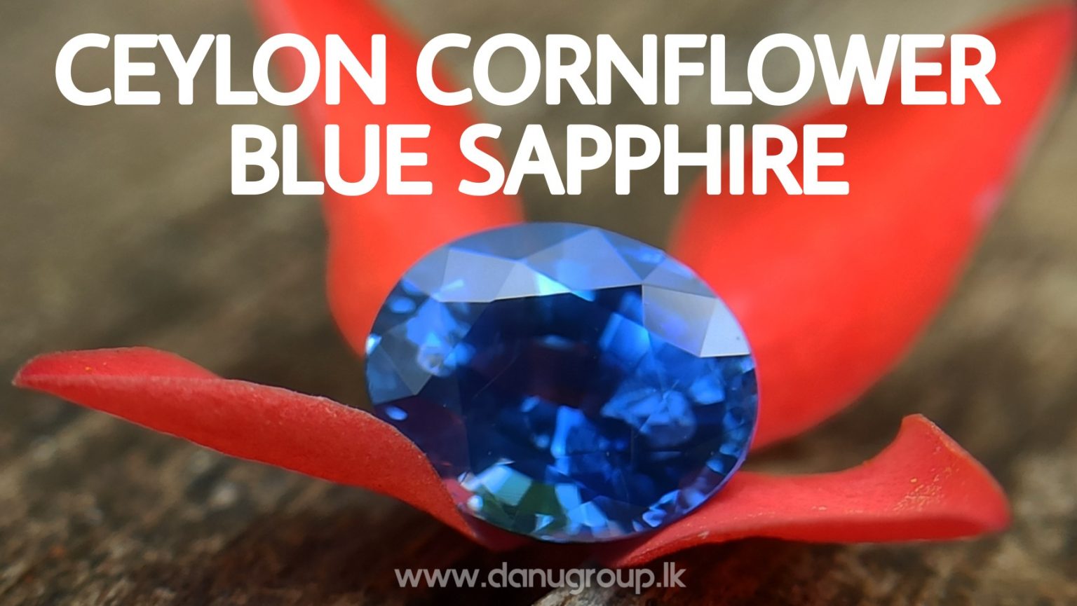 danugroup.lk - Ceylon Natural Cornflower Blue Sapphire Danu Group Gemstones Collections