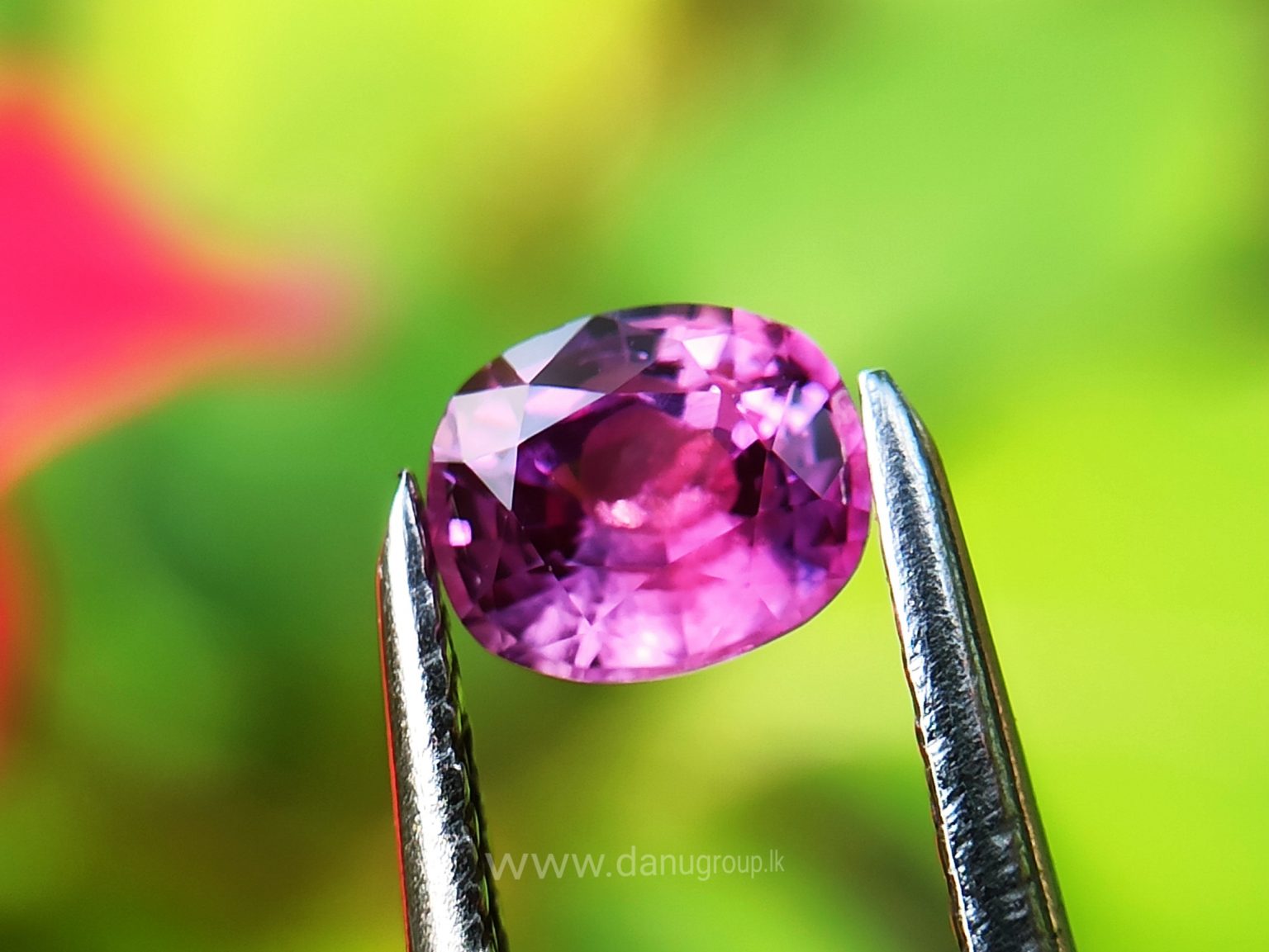 Ceylon Natural Pink Sapphire Danu Group Gemstones Collection