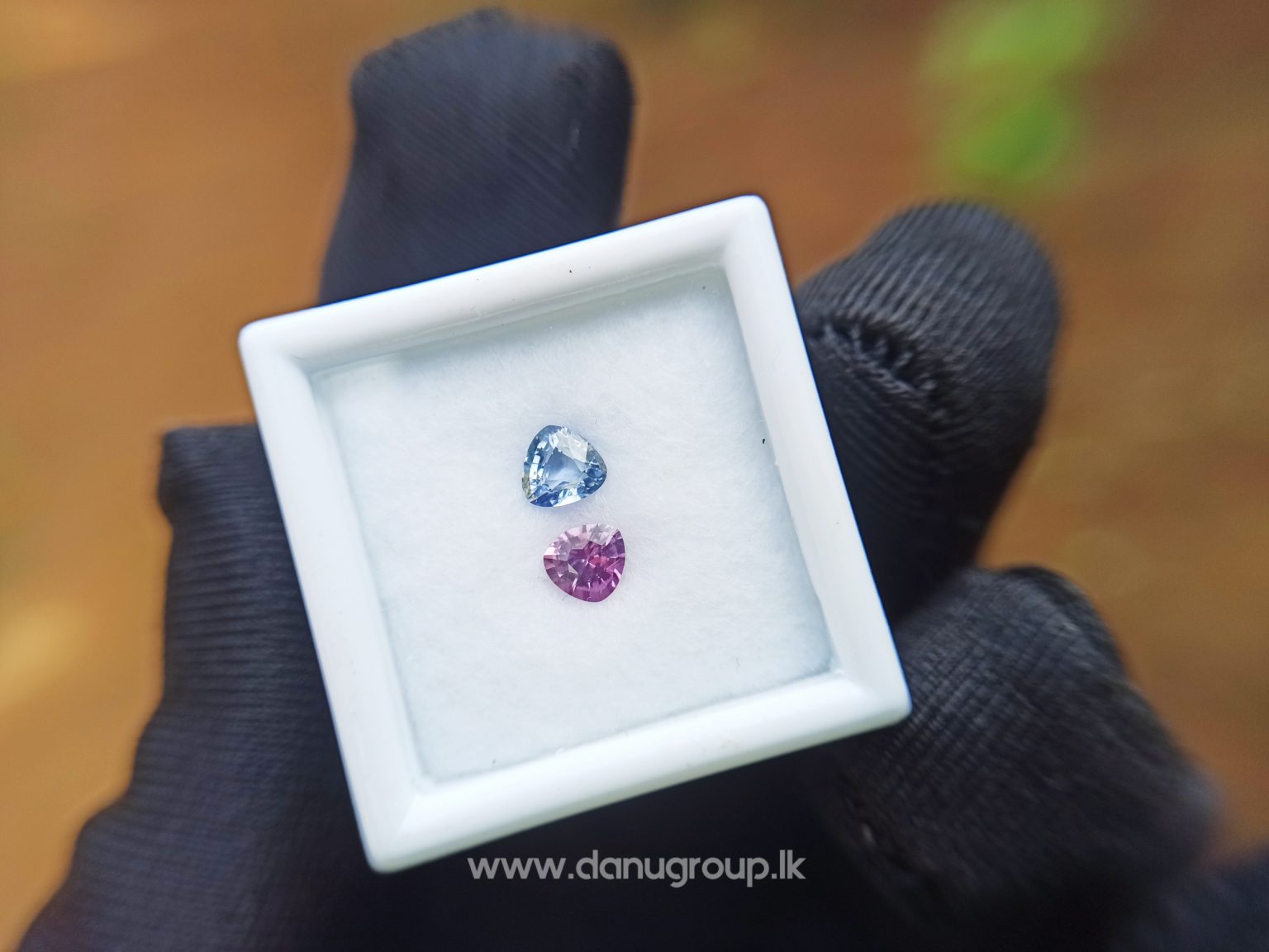Ceylon Natural Purple sapphire and blue sapphire couple - Natural Fancy Sapphire Couple from Danu Group