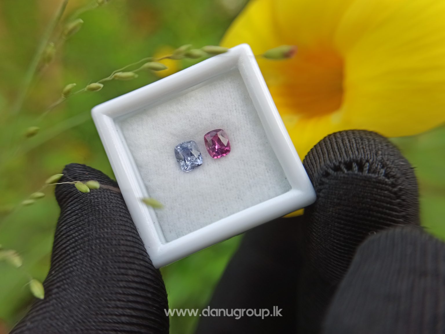 Ceylon Natural Violet and pink sapphire , fancy sapphire couple danu group Gemstones
