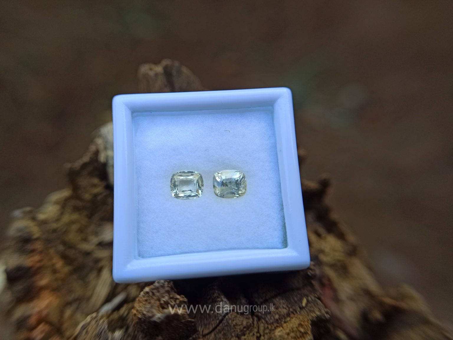 Ceylon Natural Yellow Sapphire Cushion shape Couple Danu Group Gemstones Collection