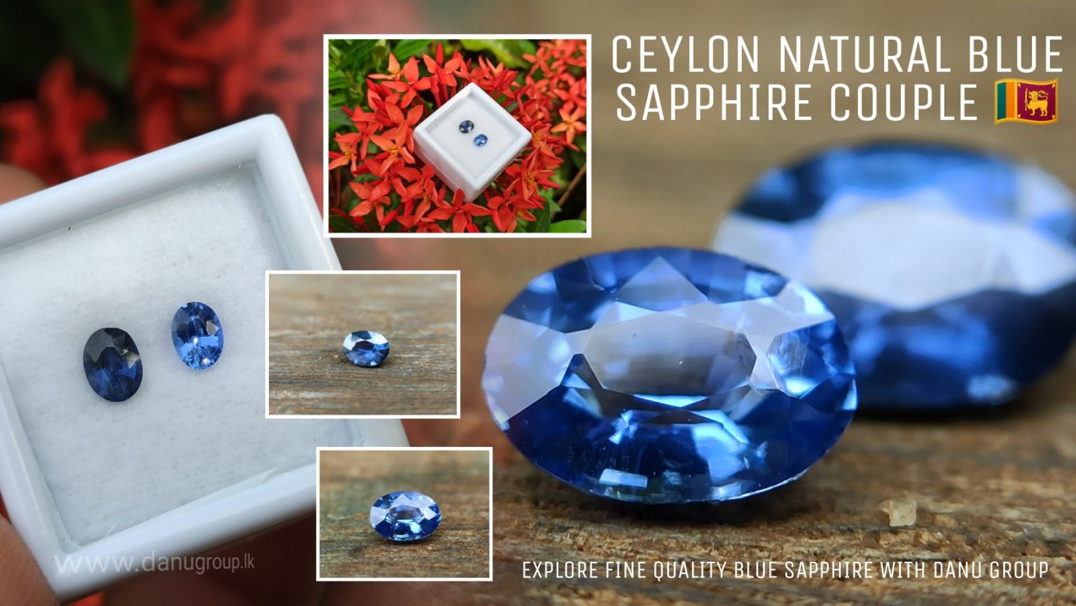 Ceylon Blue Sapphire Couple - Danu Group Gemstones