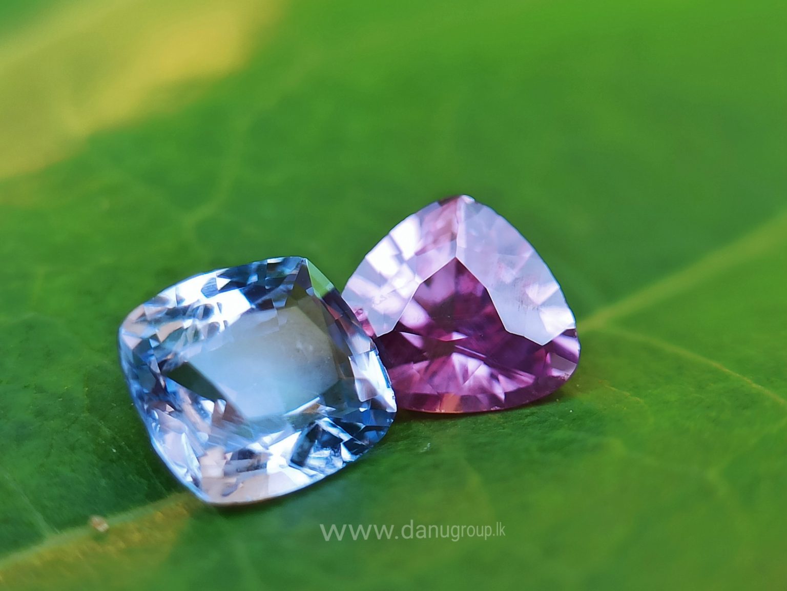 danugroup.lk - Ceylon Natural Blue and pink sapphire couple Danu Group Gemstones
