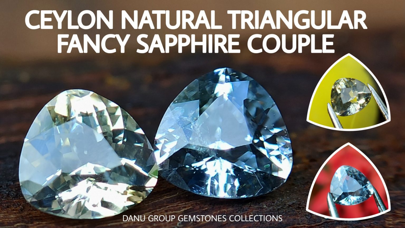 danugroup.lk - ceylon natural yellow sapphire and white Sapphire - Natural Fancy Sapphire Couple from Danu Group