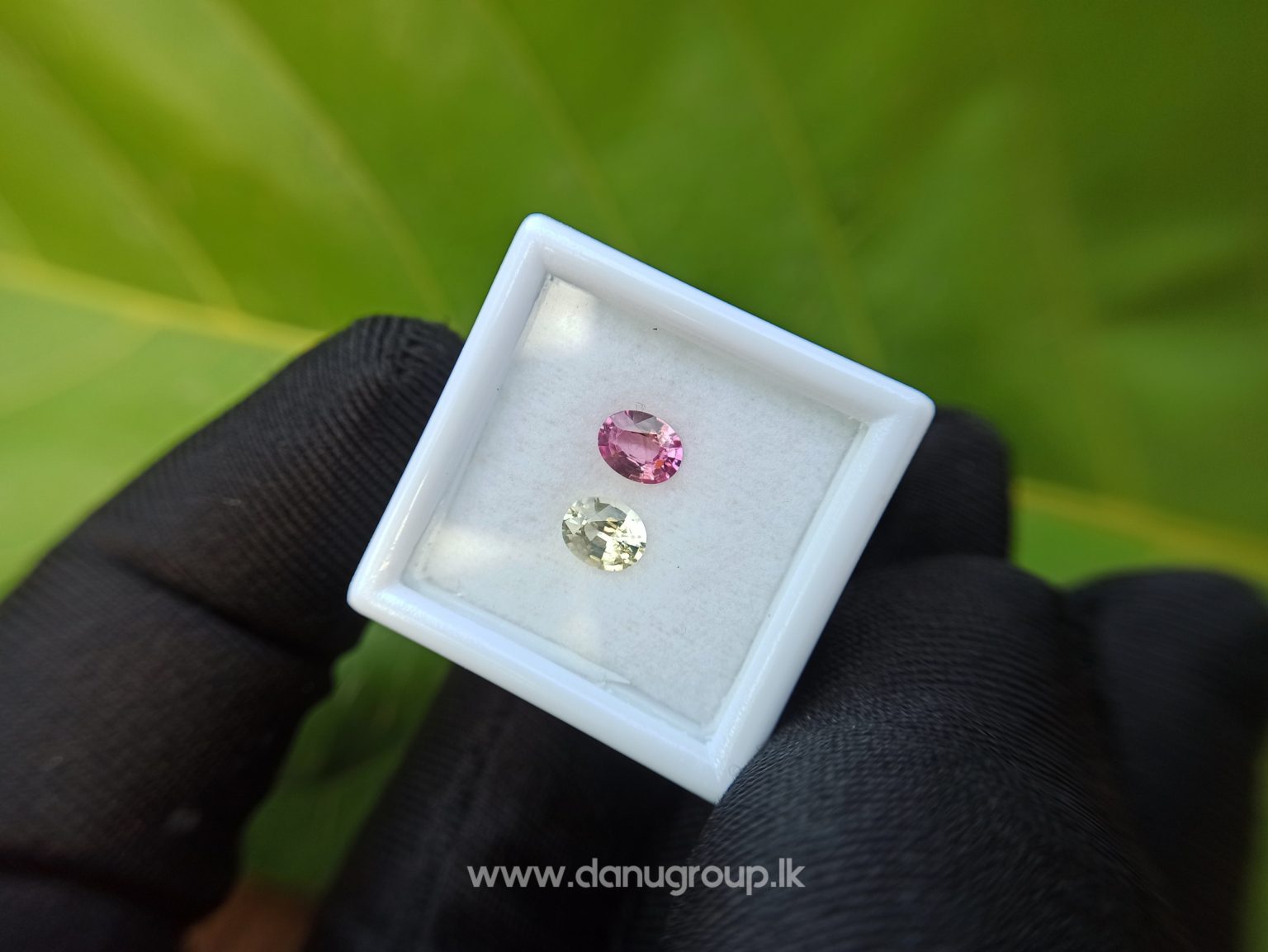 Ceylon Natural Fancy Sapphire Couple - Danu Group Gemstones Collection