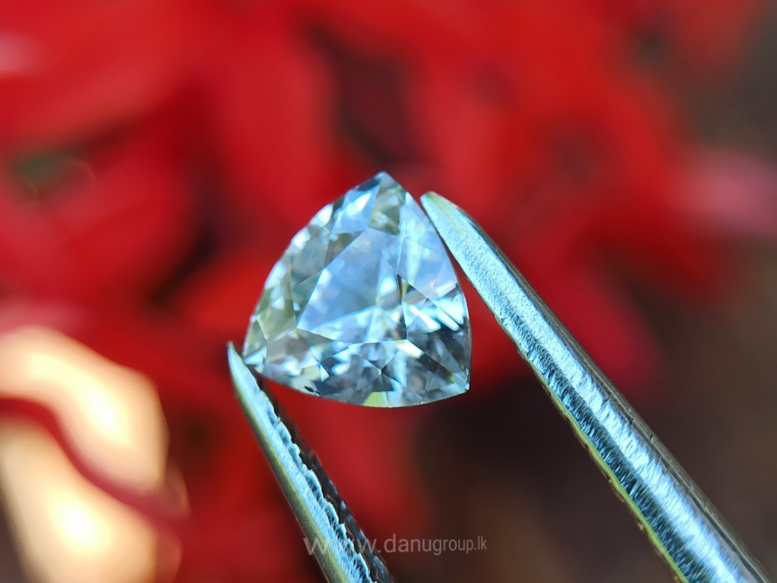 Ceylon Natural Fancy Sapphire Triangular Shape Couple Light Yellow and white sapphire from Danu Group Gemstones Collection