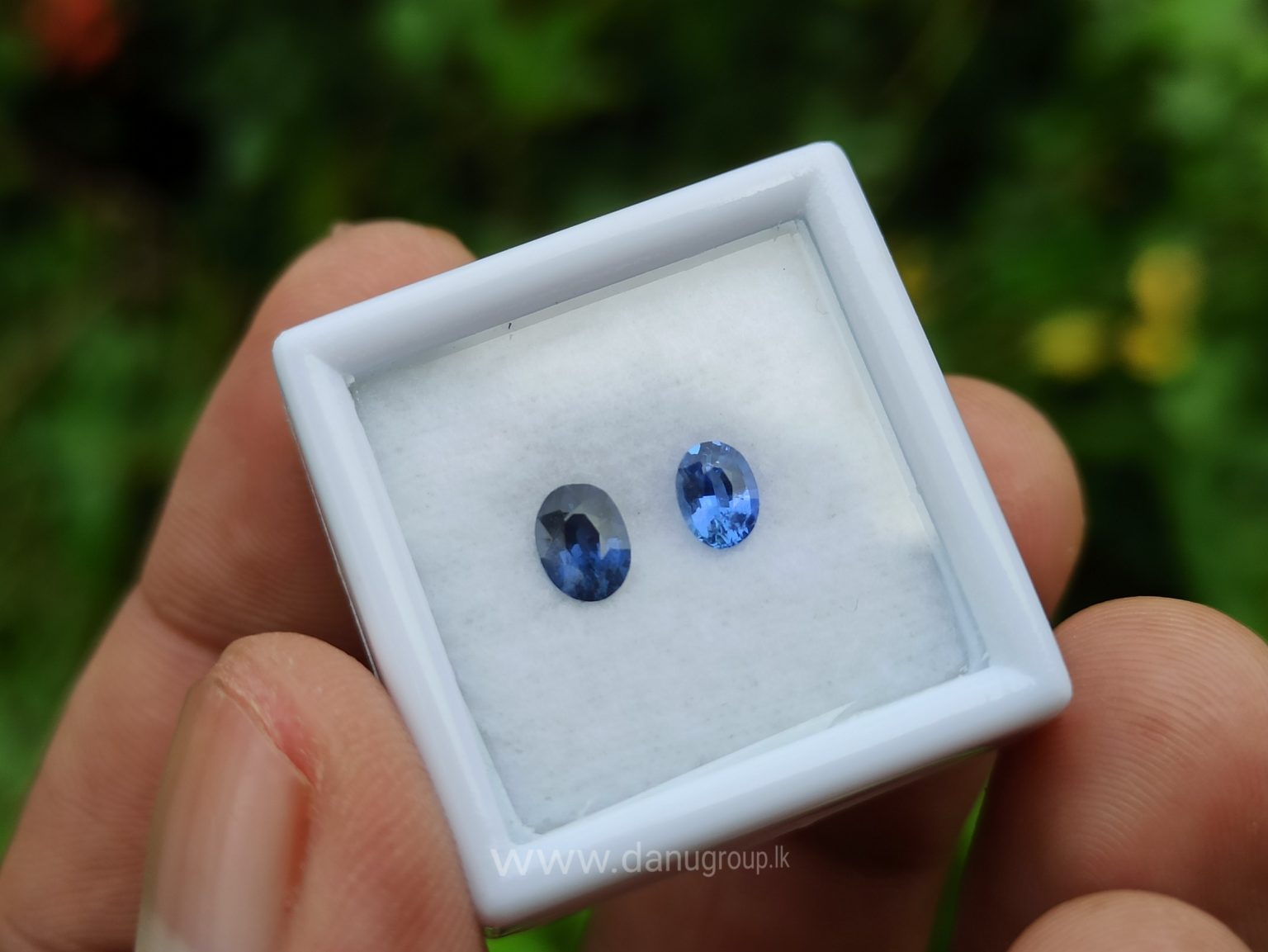 Ceylon Blue Sapphire Couple - Danu Group Gemstones