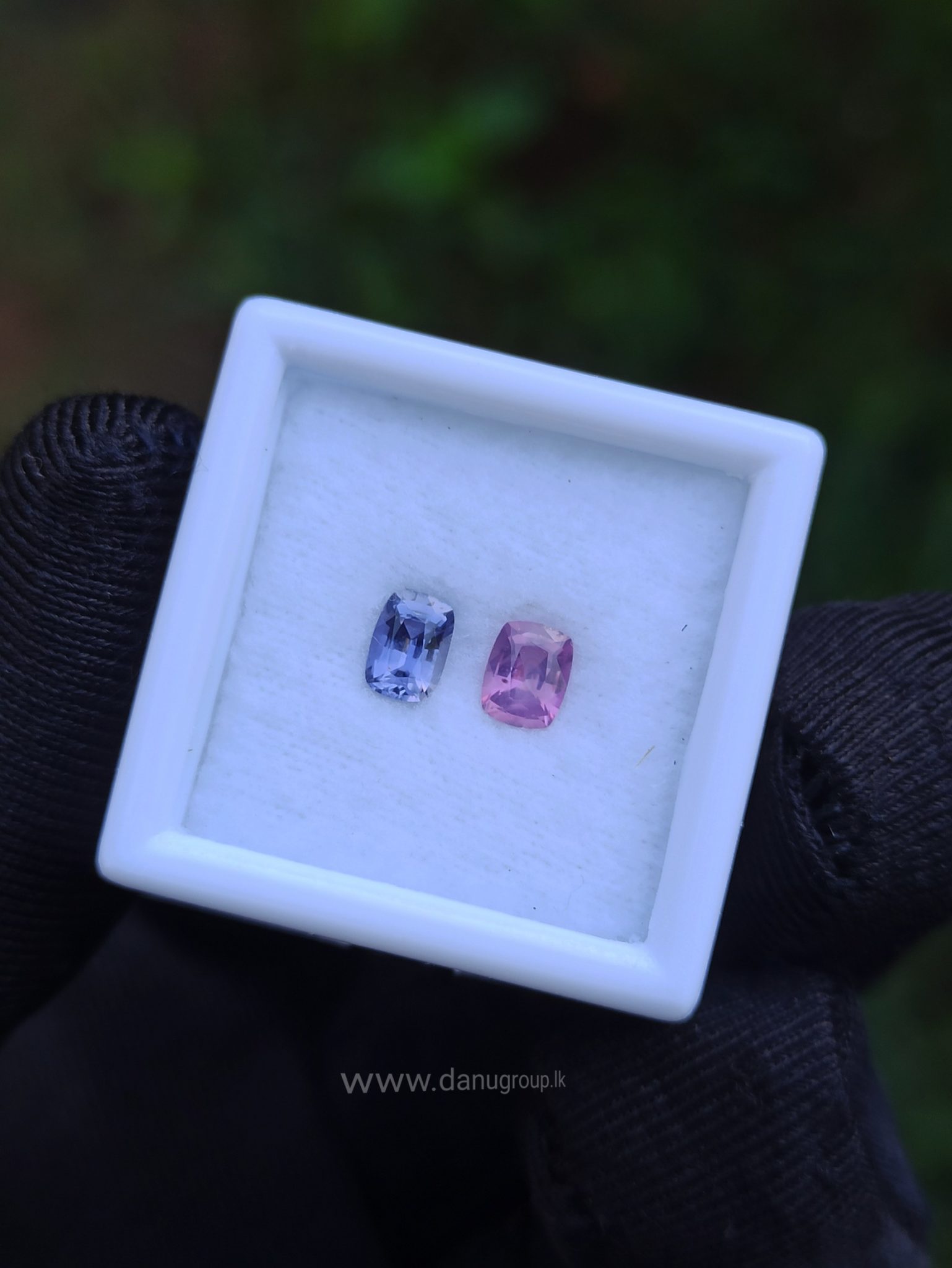 danugroup.lk - ceylon natural Violet Sapphire and pink sapphire Couple danu group Gemstones