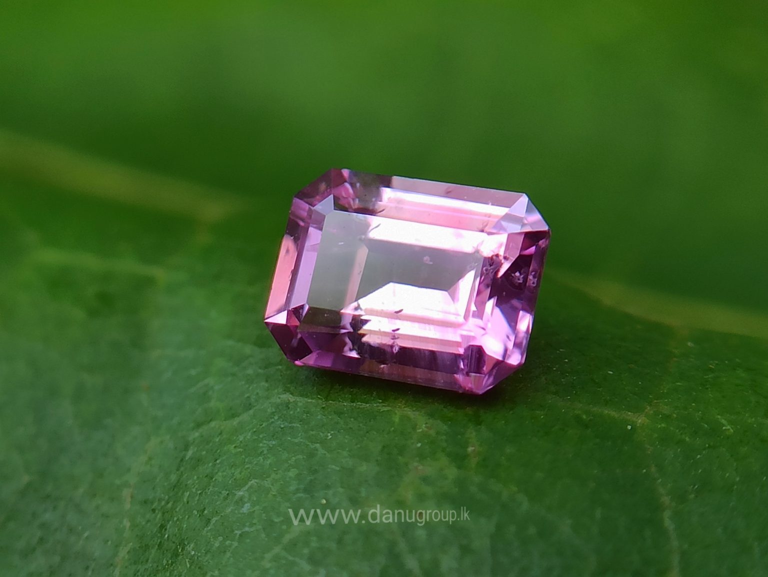 Ceylon Natural Pink Sapphire Danu Group Gemstones Collection