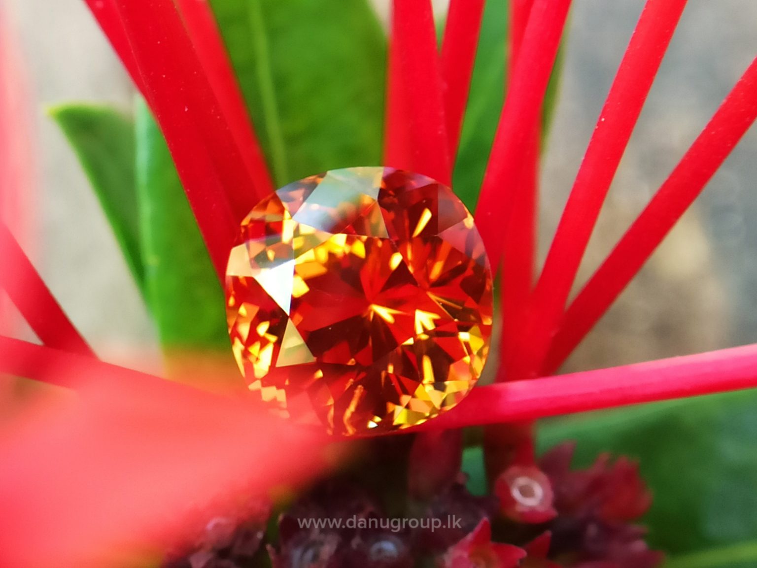 danugroup.lk - Ceylon Natural Spessartite Garnet pyrop Spessartite from Danu Group Gemstones Collections